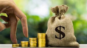Your Path to Financial Freedom: A Beginner’s Guide to Growing Wealth