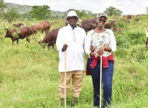 President Museveni’s Daughter Diana Allegedly Dating A Top UPDF Boss Months After Divorcing Her Violent Husband – Secrets Leak