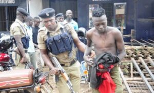 Shock as Thieves Found Eating Grass After Robbing Wealthy Businessman in Nyeri