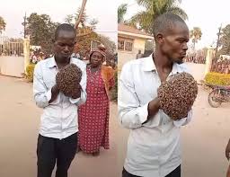 Senior Politician Swarmed by Bees After Allegedly Pocketing 2 Billion Shillings