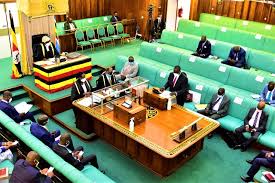 From Parliament to Power!! My Path to the Cabinet