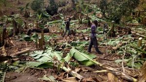 The Hidden Strategy to Win Any Land Dispute Finally Revealed – Read This Story