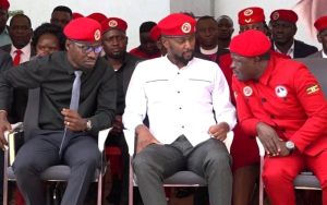 “Bobi Wine Is A Coward And His Struggle Is Fake” Stella Nyanzi Reveals Secrets