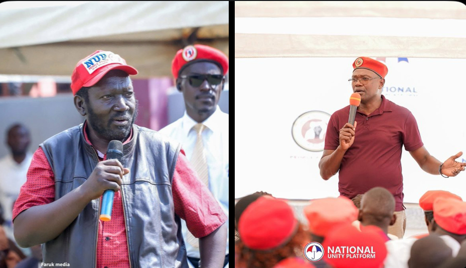 Who is the next Commissioner of Parliament